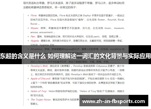 东超的含义是什么 如何理解这一词汇的文化背景与实际应用 东超的含义是什么 如何理解这一词汇的文化背景与实际应用