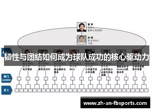 韧性与团结如何成为球队成功的核心驱动力