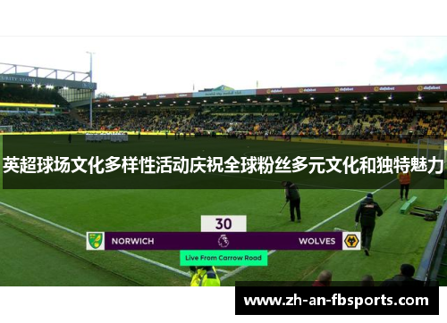 英超球场文化多样性活动庆祝全球粉丝多元文化和独特魅力