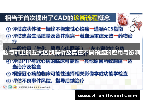 腰与前卫的五大区别解析及其在不同领域的应用与影响