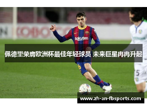 佩德里荣膺欧洲杯最佳年轻球员 未来巨星冉冉升起