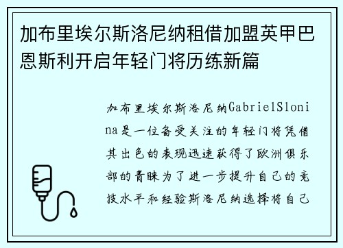 加布里埃尔斯洛尼纳租借加盟英甲巴恩斯利开启年轻门将历练新篇 加布里埃尔斯洛尼纳租借加盟英甲巴恩斯利开启年轻门将历练新篇
